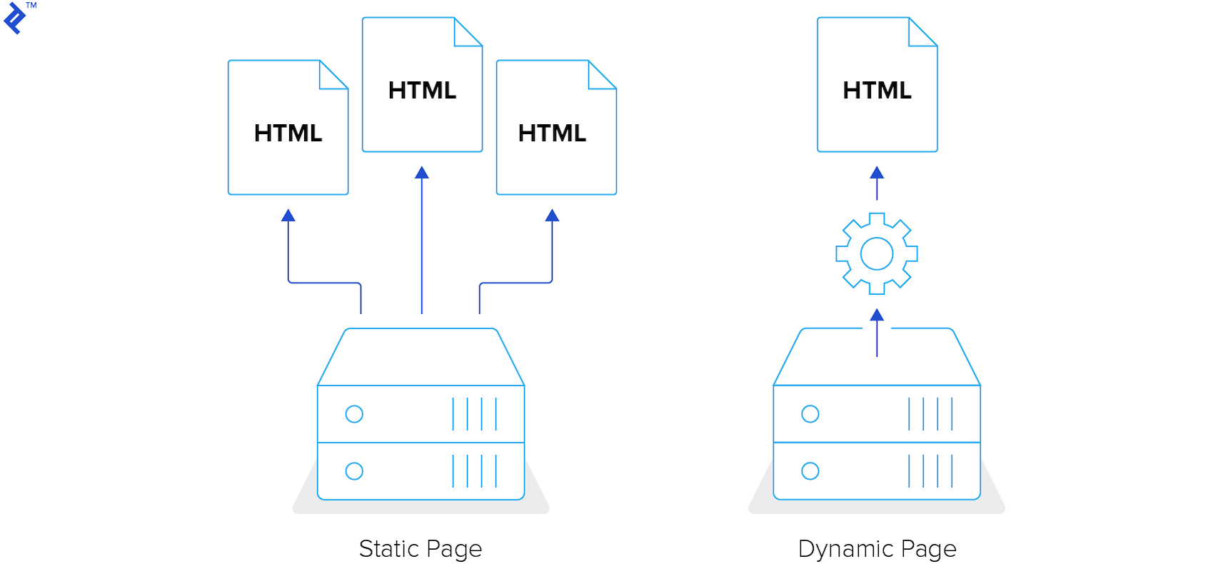 statická vs dynamická webová stránka